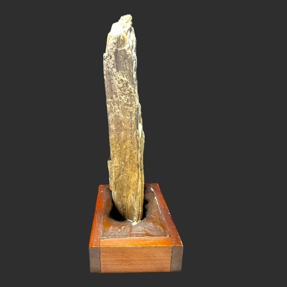 PETRIFIED WOOD NORTH DAKOTA BADLANDS ON VINTAGE HANDMADE STAND - Picture 6 of 12
